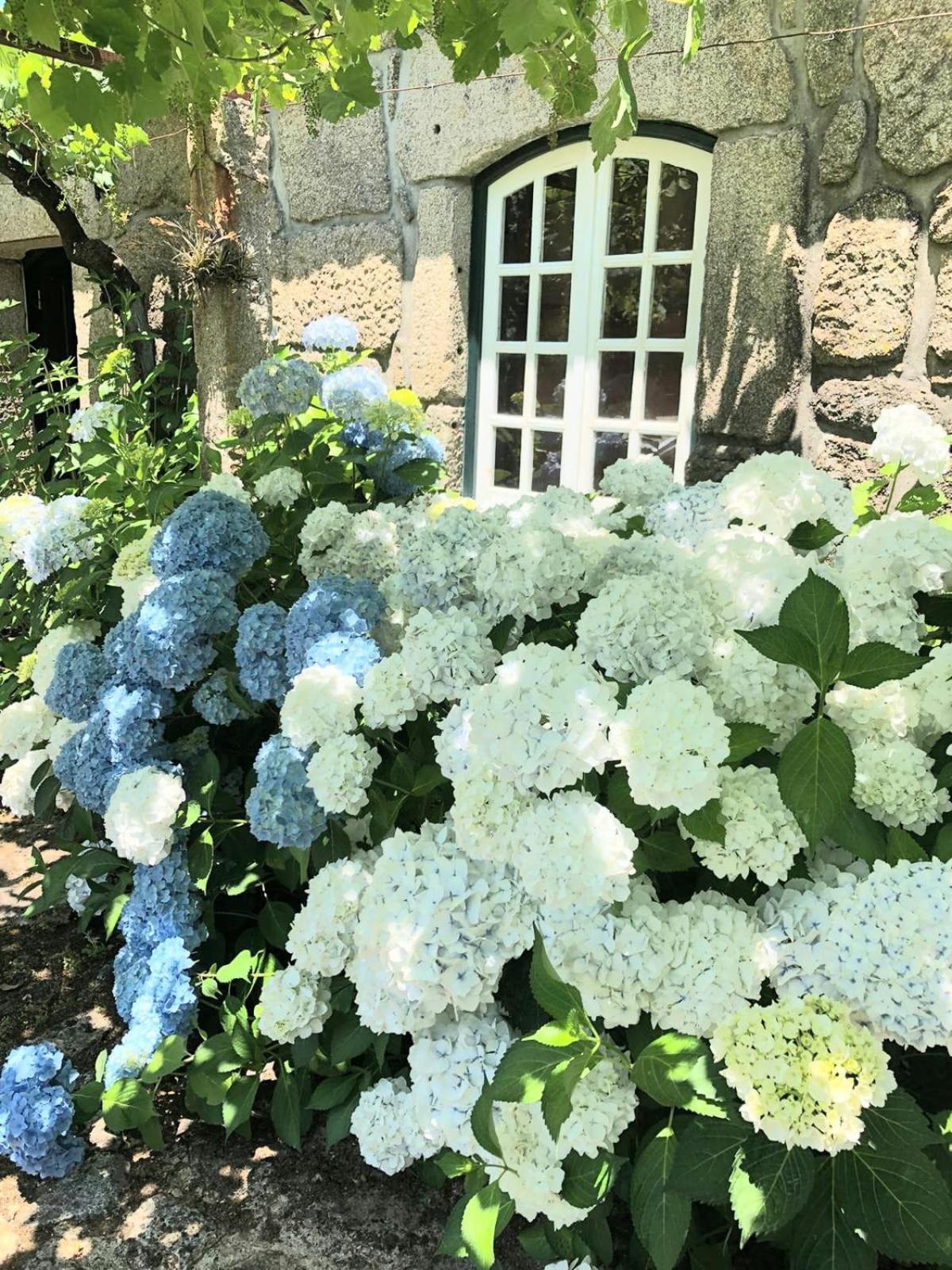 Villa Quinta Dona Manuela Formariz Esterno foto